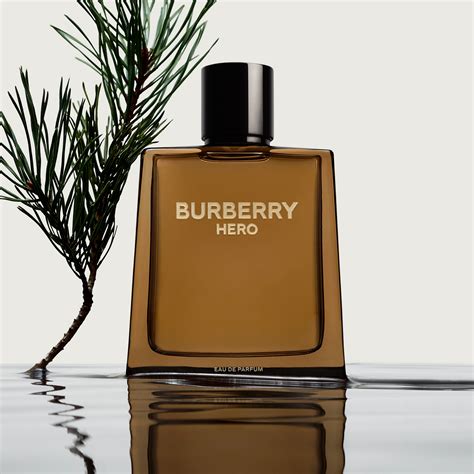 profumo burberry for man|burberry cologne for men.